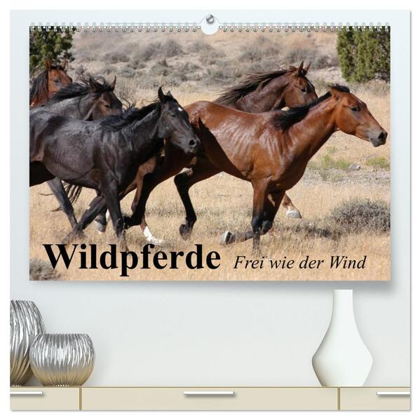 Wildpferde. Frei wie der Wind (hochwertiger Premium Wandkalender 2024 DIN A2 quer) Kunstdruck in Hochglanz
