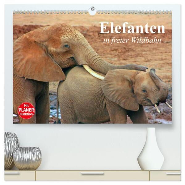 Elefanten in freier Wildbahn (hochwertiger Premium Wandkalender 2024 DIN A2 quer) Kunstdruck in Hochglanz
