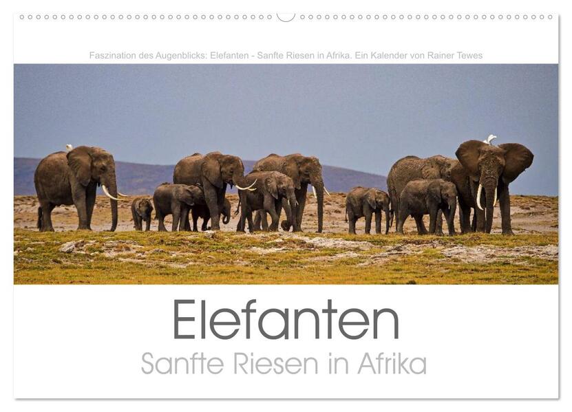 Elefanten - Sanfte Riesen in Afrika (Wandkalender 2024 DIN A2 quer) CALVENDO Monatskalender