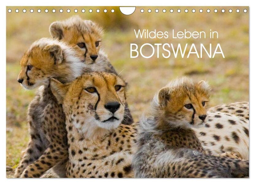 Wildes Leben in Botswana (Wandkalender 2024 DIN A4 quer) CALVENDO Monatskalender