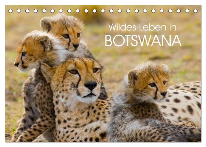 Wildes Leben in Botswana (Tischkalender 2024 DIN A5 quer) CALVENDO Monatskalender