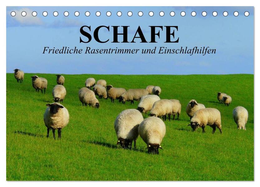 Schafe. Friedliche Rasentrimmer und Einschlafhilfen (Tischkalender 2024 DIN A5 quer) CALVENDO Monatskalender