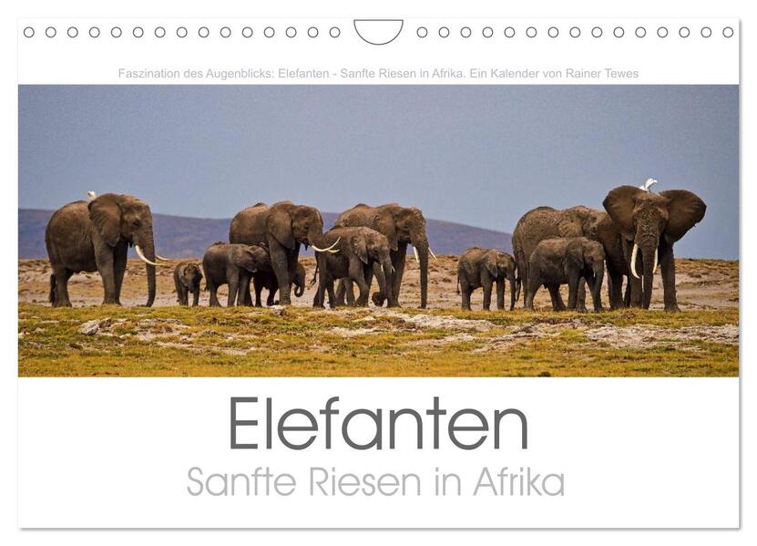 Elefanten - Sanfte Riesen in Afrika (Wandkalender 2024 DIN A4 quer) CALVENDO Monatskalender