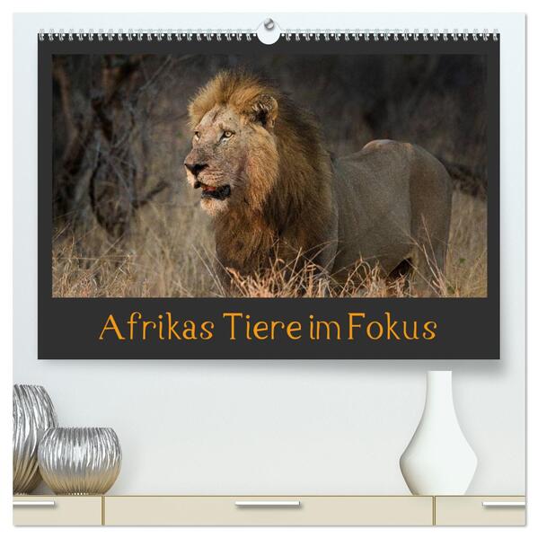 Afrikas Tiere im Fokus (hochwertiger Premium Wandkalender 2024 DIN A2 quer) Kunstdruck in Hochglanz