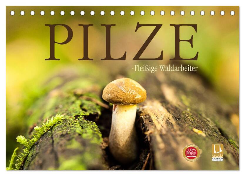 Pilze - fleißige Waldarbeiter (Tischkalender 2024 DIN A5 quer) CALVENDO Monatskalender