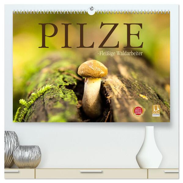 Pilze - fleißige Waldarbeiter (hochwertiger Premium Wandkalender 2024 DIN A2 quer) Kunstdruck in Hochglanz