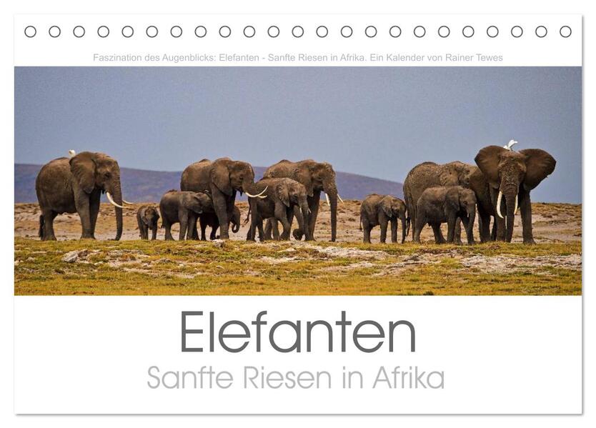 Elefanten - Sanfte Riesen in Afrika (Tischkalender 2024 DIN A5 quer) CALVENDO Monatskalender