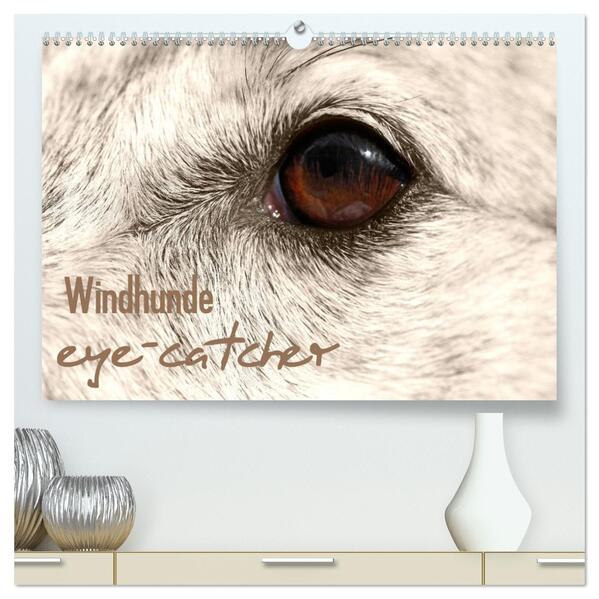 Windhunde eye-catcher (hochwertiger Premium Wandkalender 2024 DIN A2 quer) Kunstdruck in Hochglanz
