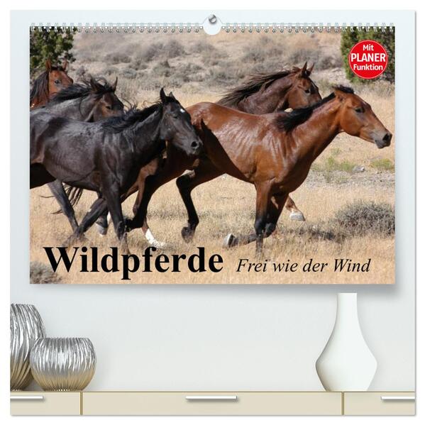 Wildpferde. Frei wie der Wind (hochwertiger Premium Wandkalender 2024 DIN A2 quer) Kunstdruck in Hochglanz