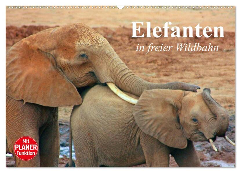 Elefanten in freier Wildbahn (Wandkalender 2024 DIN A2 quer) CALVENDO Monatskalender