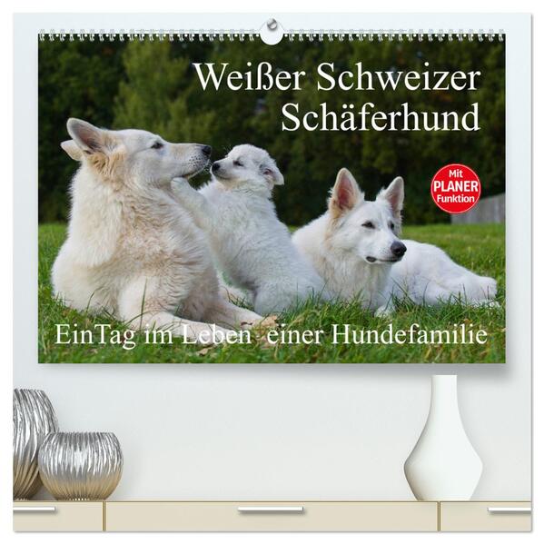 Weißer Schweizer Schäferhund - Ein Tag im Leben einer Hundefamilie (hochwertiger Premium Wandkalender 2024 DIN A2 quer) Kunstdruck in Hochglanz
