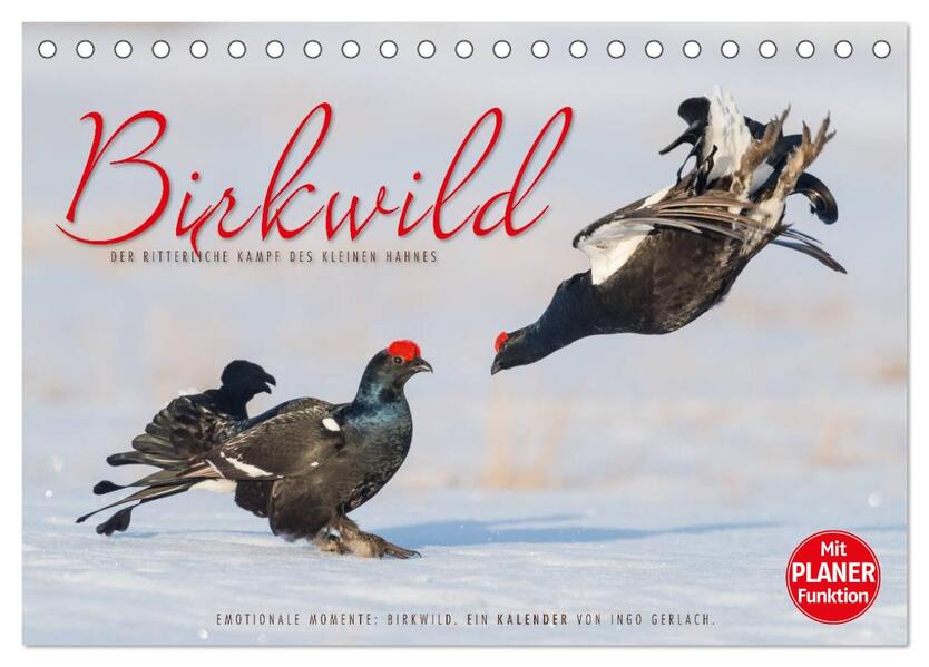 Emotionale Momente: Birkwild (Tischkalender 2024 DIN A5 quer) CALVENDO Monatskalender