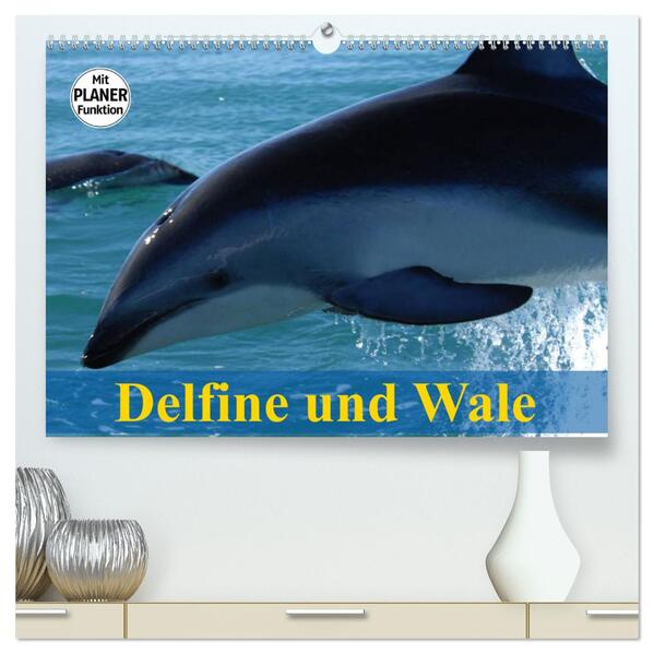 Delfine und Wale (hochwertiger Premium Wandkalender 2024 DIN A2 quer) Kunstdruck in Hochglanz