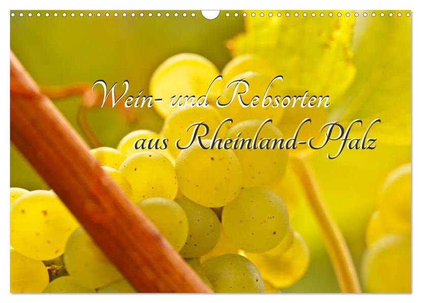 Wein- und Rebsorten aus Rheinland-Pfalz (Wandkalender 2024 DIN A3 quer) CALVENDO Monatskalender