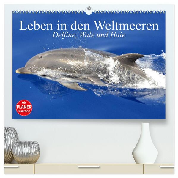 Leben in den Weltmeeren. Delfine Wale und Haie (hochwertiger Premium Wandkalender 2024 DIN A2 quer) Kunstdruck in Hochglanz