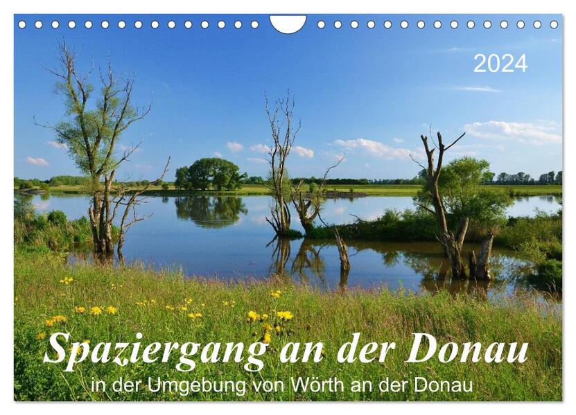 Spaziergang an der Donau (Wandkalender 2024 DIN A4 quer) CALVENDO Monatskalender