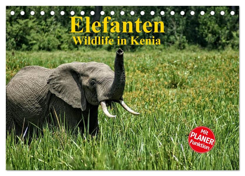 Elefanten . Wildlife in Kenia (Tischkalender 2024 DIN A5 quer) CALVENDO Monatskalender