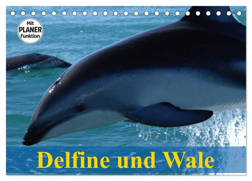 Delfine und Wale (Tischkalender 2024 DIN A5 quer) CALVENDO Monatskalender