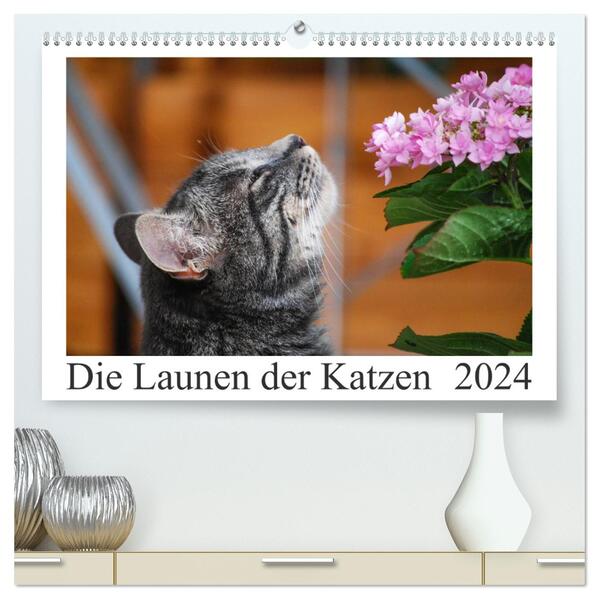 Die Launen der Katzen 2024 (hochwertiger Premium Wandkalender 2024 DIN A2 quer) Kunstdruck in Hochglanz
