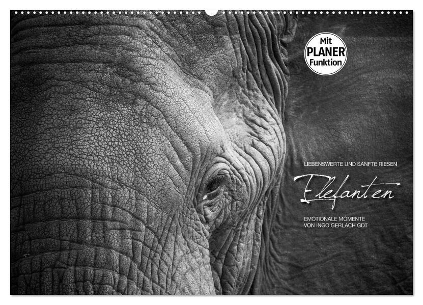 Emotionale Momente: Elefanten in black and white (Wandkalender 2024 DIN A2 quer) CALVENDO Monatskalender - Ingo Gerlach GDT
