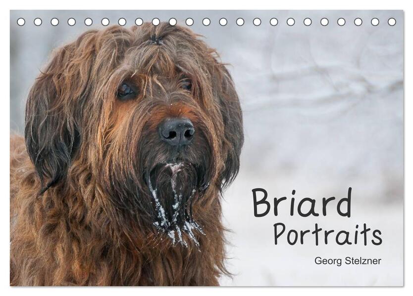 Briard Portraits (Tischkalender 2024 DIN A5 quer) CALVENDO Monatskalender