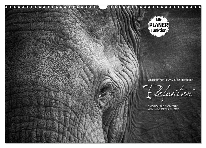 Emotionale Momente: Elefanten in black and white (Wandkalender 2024 DIN A3 quer) CALVENDO Monatskalender