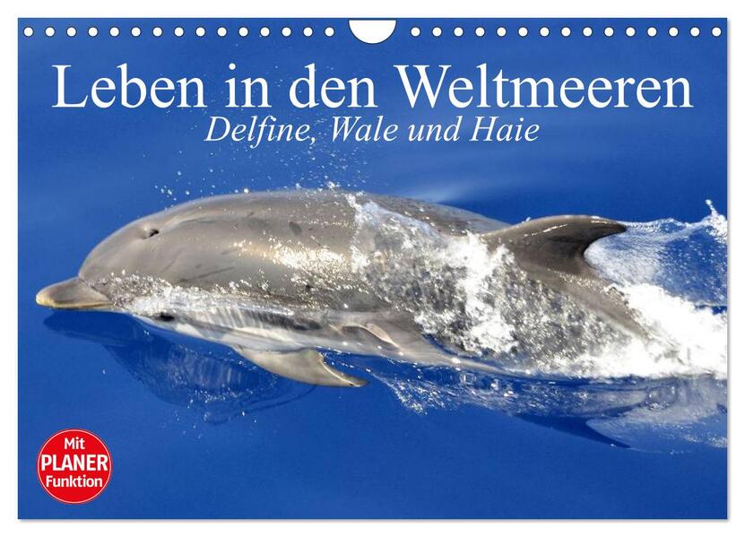 Leben in den Weltmeeren. Delfine Wale und Haie (Wandkalender 2024 DIN A4 quer) CALVENDO Monatskalender