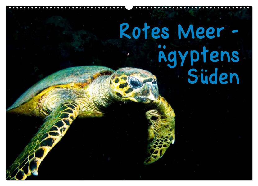 Rotes Meer - Ägyptens Süden (Wandkalender 2024 DIN A2 quer) CALVENDO Monatskalender
