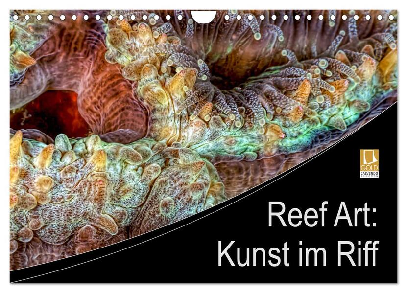 Reef Art - Kunst im Riff (Wandkalender 2024 DIN A4 quer) CALVENDO Monatskalender