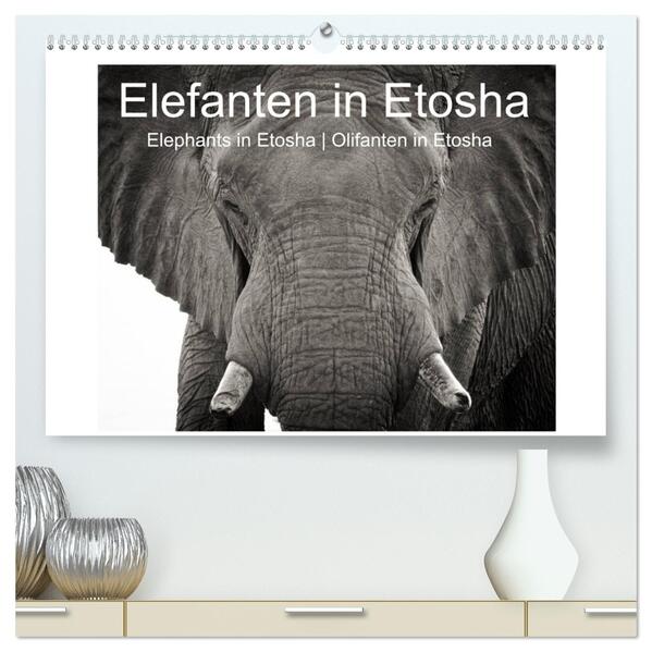 Elefanten in Etosha (hochwertiger Premium Wandkalender 2024 DIN A2 quer) Kunstdruck in Hochglanz