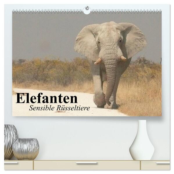 Elefanten. Sensible Rüsseltiere (hochwertiger Premium Wandkalender 2024 DIN A2 quer) Kunstdruck in Hochglanz