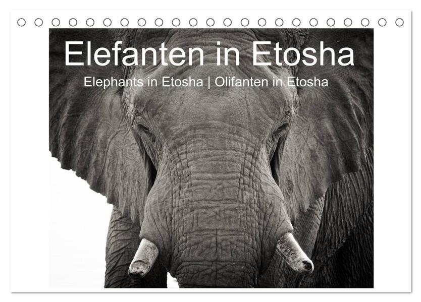 Elefanten in Etosha (Tischkalender 2024 DIN A5 quer) CALVENDO Monatskalender
