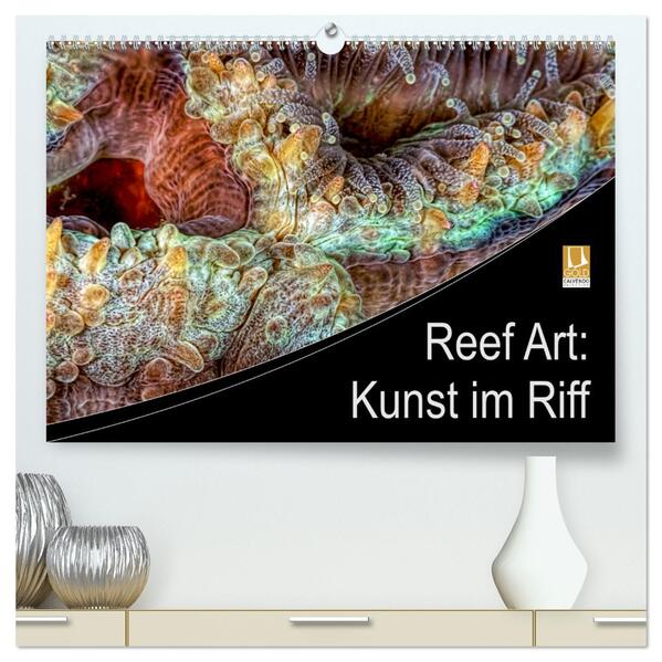 Reef Art - Kunst im Riff (hochwertiger Premium Wandkalender 2024 DIN A2 quer) Kunstdruck in Hochglanz