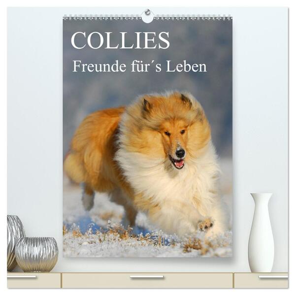 Collies - Freunde fürs Leben (hochwertiger Premium Wandkalender 2024 DIN A2 hoch) Kunstdruck in Hochglanz