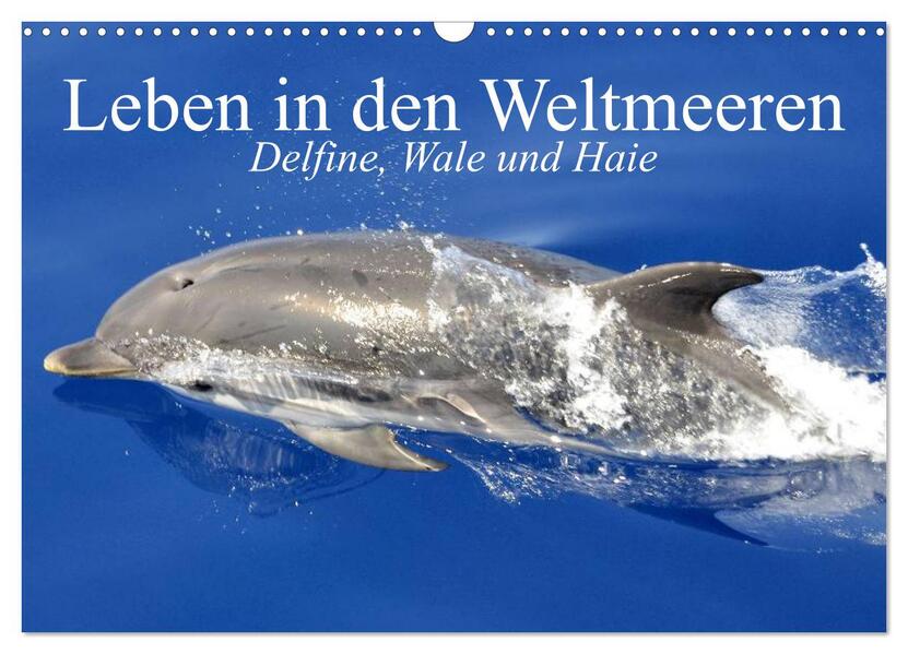 Leben in den Weltmeeren. Delfine Wale und Haie (Wandkalender 2024 DIN A3 quer) CALVENDO Monatskalender
