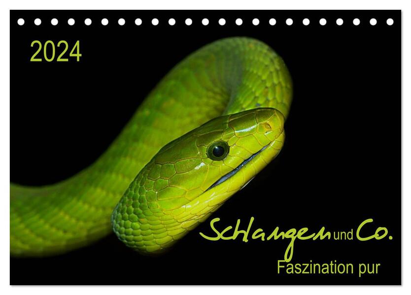 Schlangen und Co. - Faszination pur (Tischkalender 2024 DIN A5 quer) CALVENDO Monatskalender