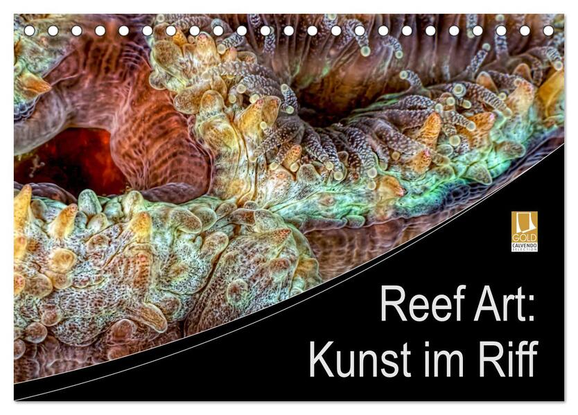 Reef Art - Kunst im Riff (Tischkalender 2024 DIN A5 quer) CALVENDO Monatskalender