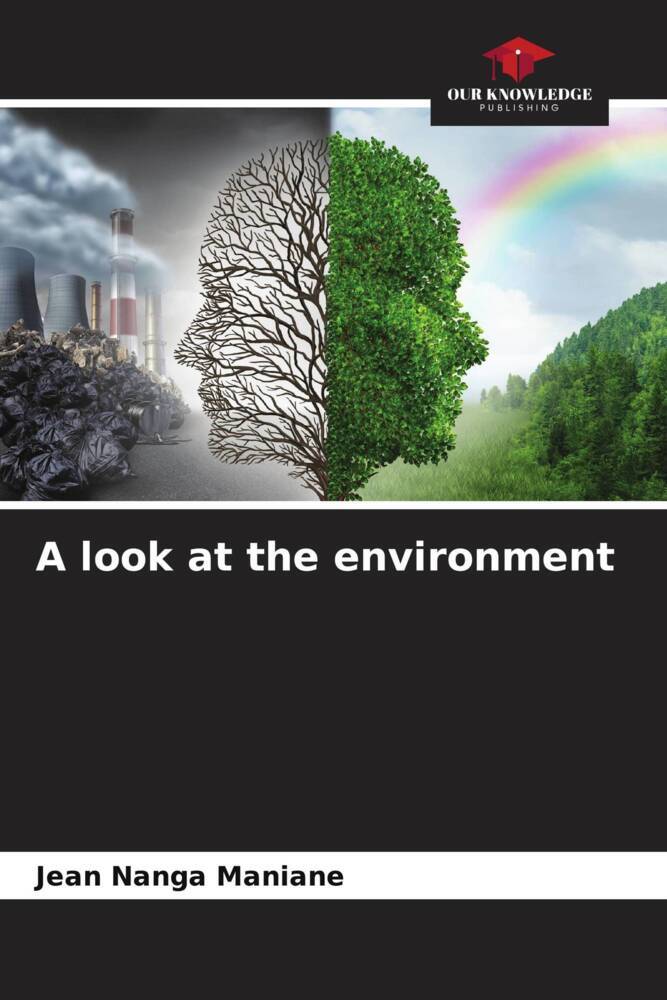 A look at the environment