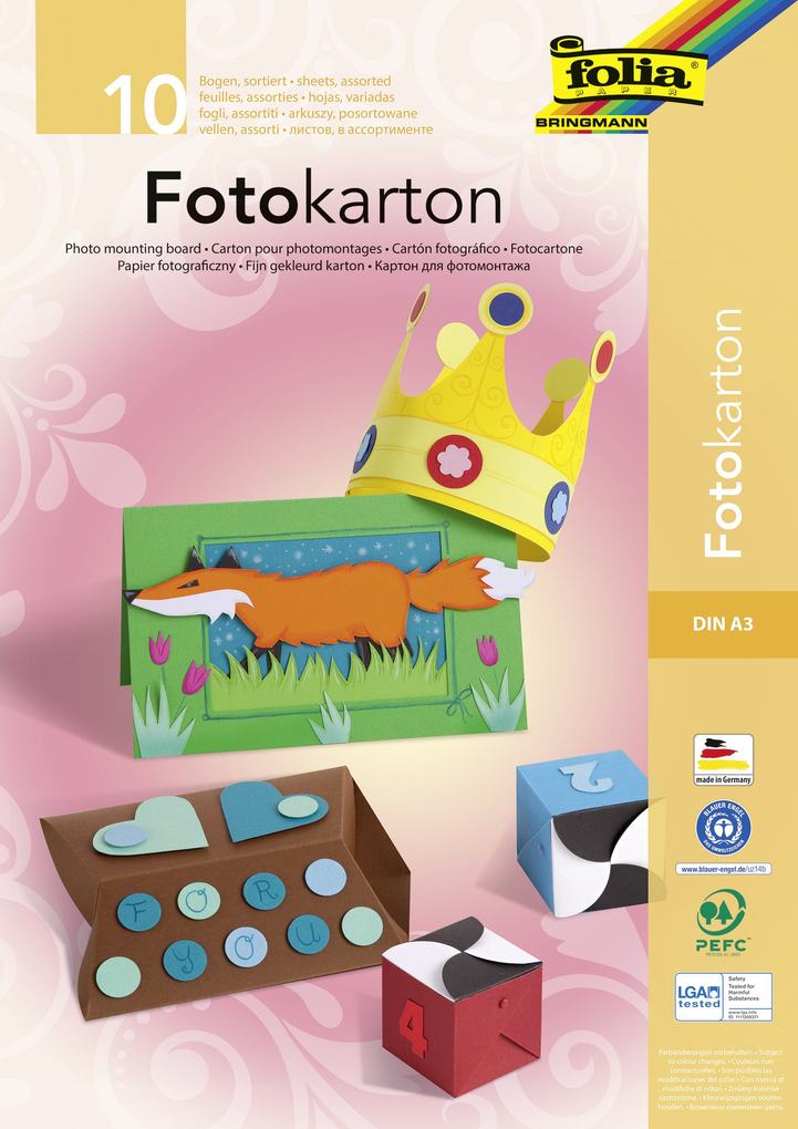 Folia Fotokartonblock DIN A3 10 Bogen farbig sortiert