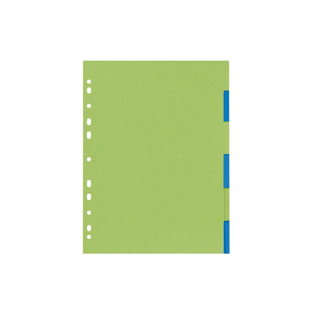 Herlitz Kartonregister A4 6eilig GREENline