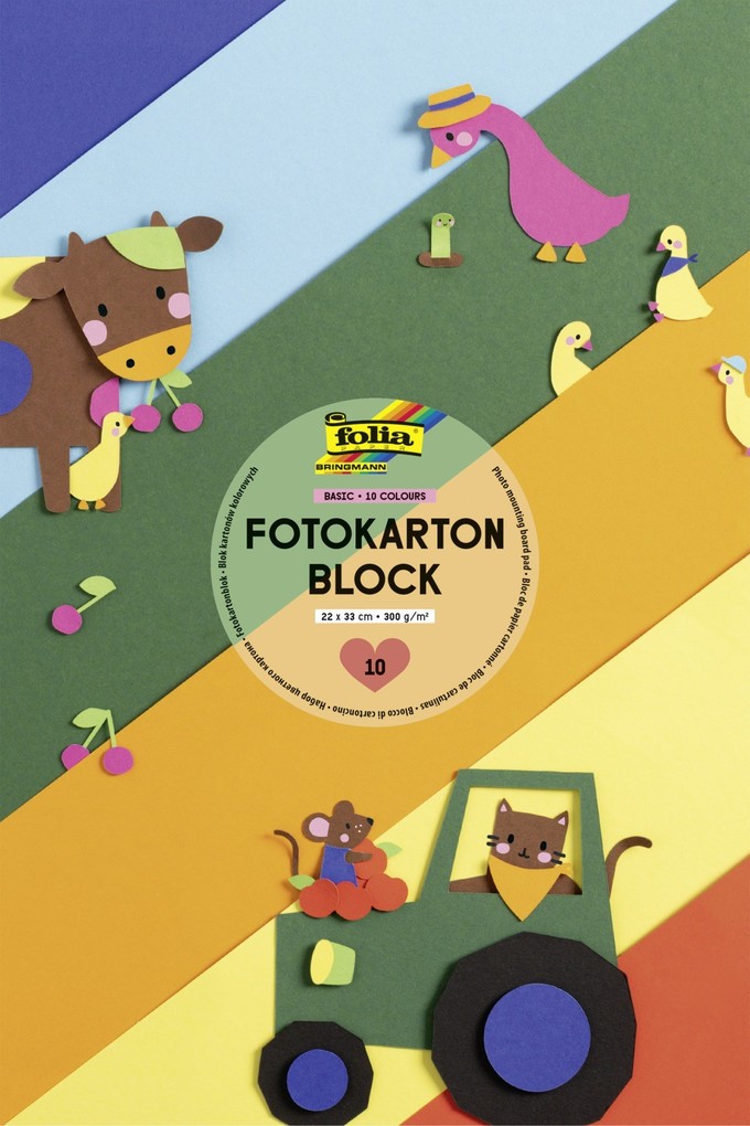 Folia Fotokartonblock 22x33cm 10 Blatt farbig sortiert