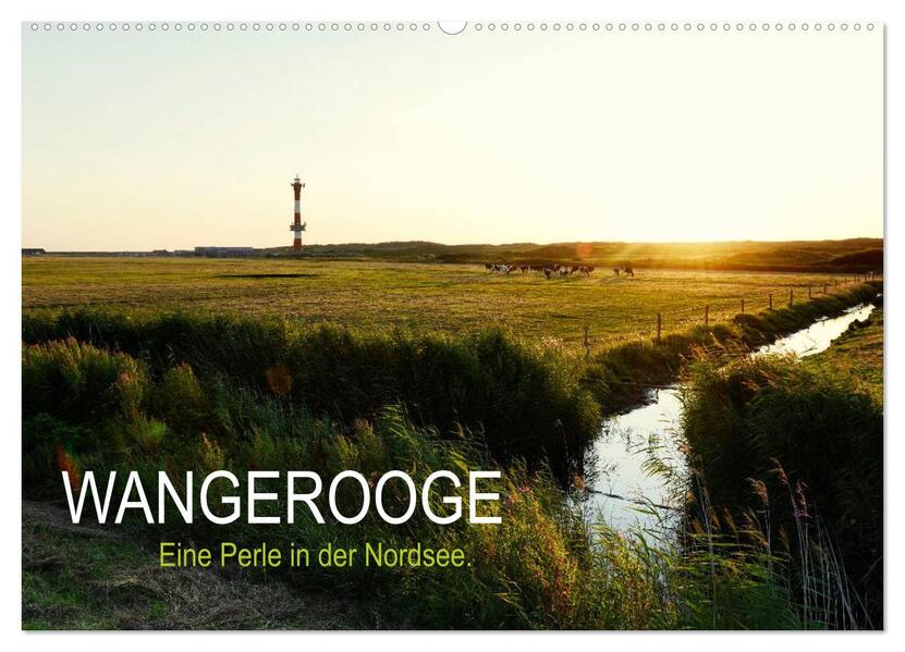 Wangerooge Eine Perle in der Nordsee. (Wandkalender 2024 DIN A2 quer) CALVENDO Monatskalender