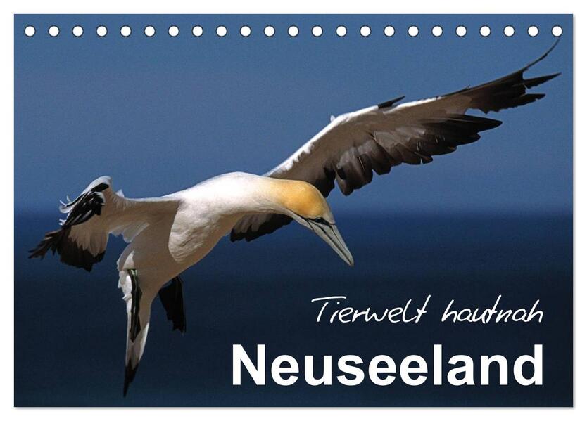Neuseeland - Tierwelt hautnah (Tischkalender 2024 DIN A5 quer) CALVENDO Monatskalender