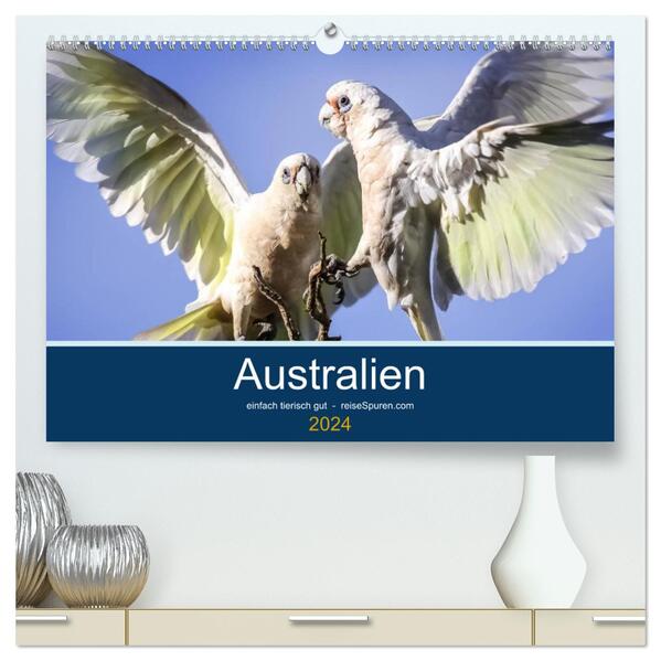 Australien - einfach tierisch gut (hochwertiger Premium Wandkalender 2024 DIN A2 quer) Kunstdruck in Hochglanz