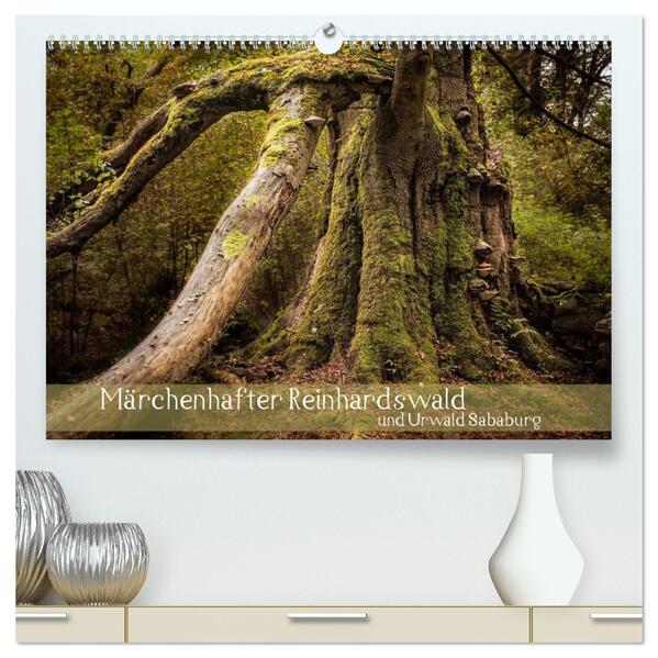 Märchenhafter Reinhardswald und Urwald Sababurg (hochwertiger Premium Wandkalender 2024 DIN A2 quer) Kunstdruck in Hochglanz