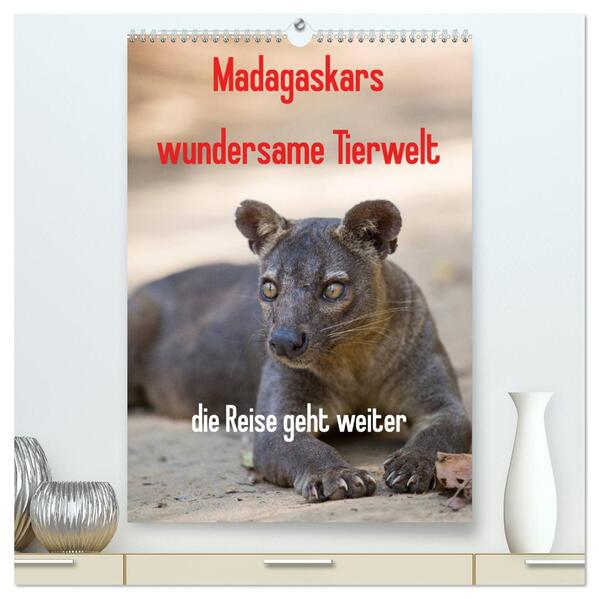 Madagaskars wundersame Tierwelt - die Reise geht weiter (hochwertiger Premium Wandkalender 2024 DIN A2 hoch) Kunstdruck in Hochglanz