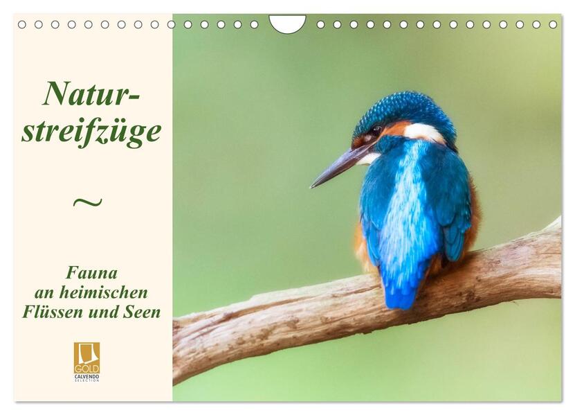 Naturstreifzüge. Fauna an heimischen Flüssen und Seen (Wandkalender 2024 DIN A4 quer) CALVENDO Monatskalender