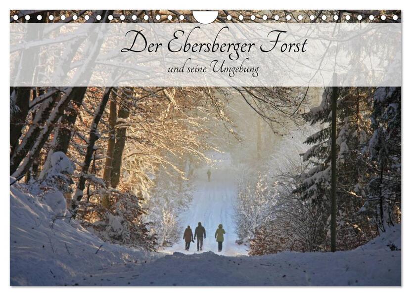 Der Ebersberger Forst und seine Umgebung (Wandkalender 2024 DIN A4 quer) CALVENDO Monatskalender
