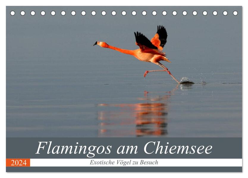 Flamingos am Chiemsee (Tischkalender 2024 DIN A5 quer) CALVENDO Monatskalender
