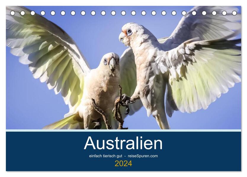 Australien - einfach tierisch gut (Tischkalender 2024 DIN A5 quer) CALVENDO Monatskalender